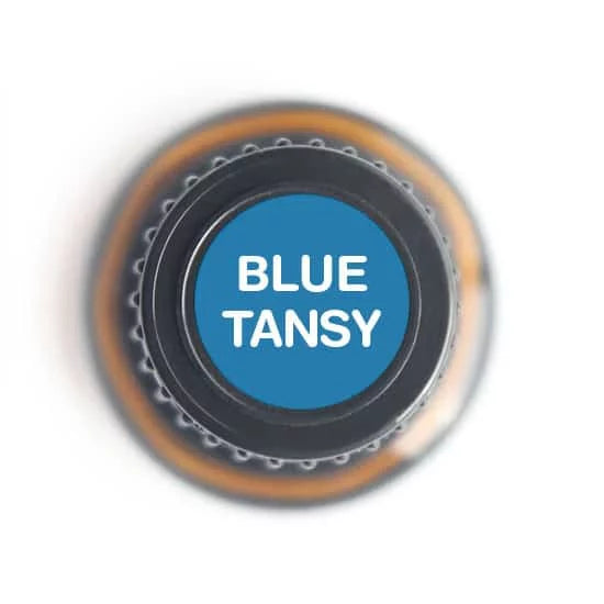 Blue tansy essential oil