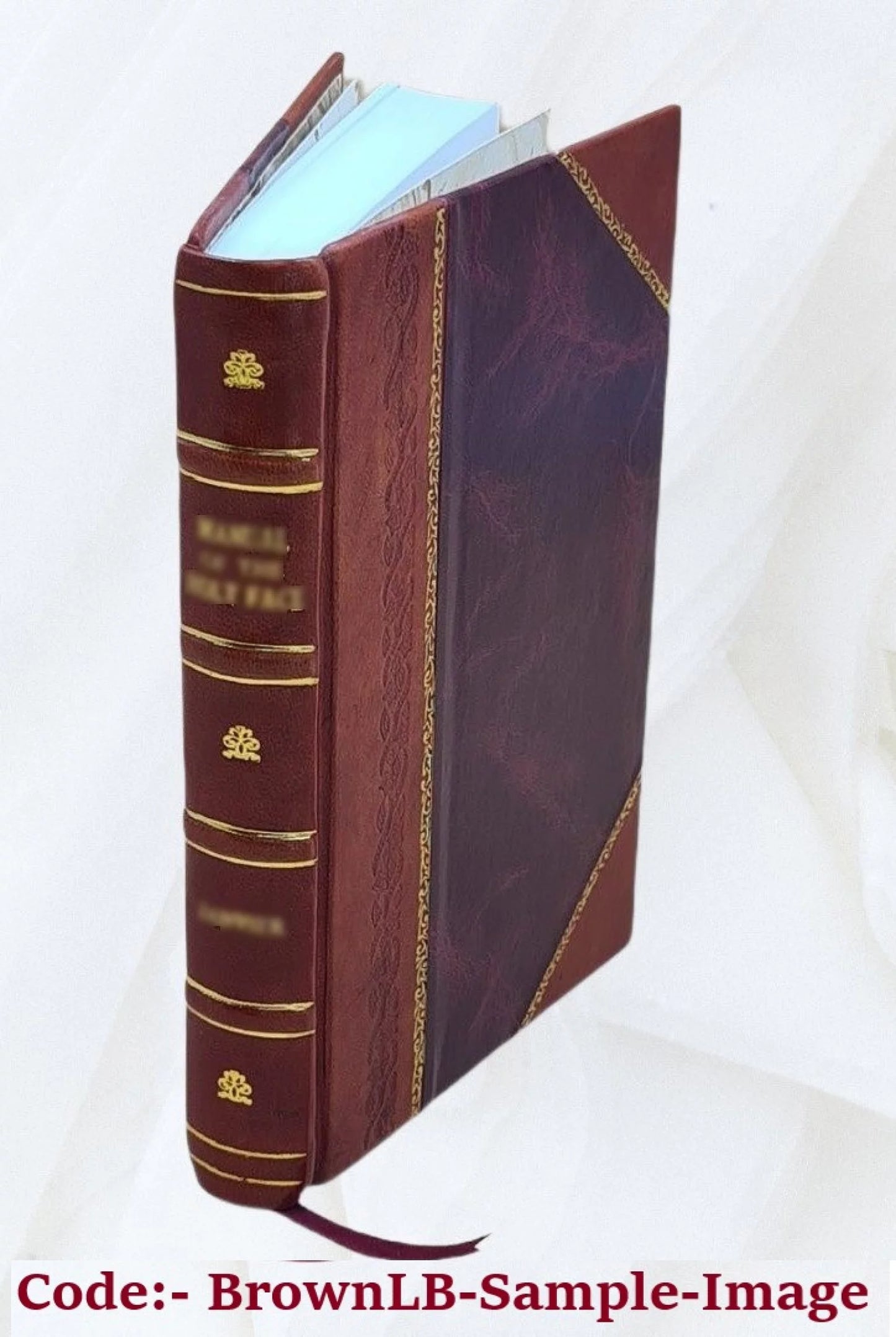 Storia della decadenza e rovina dell'impero romano di edoardo gibbon. traduzione dall'inglese volume primo decimoterzo 4 1821 [leather bound]