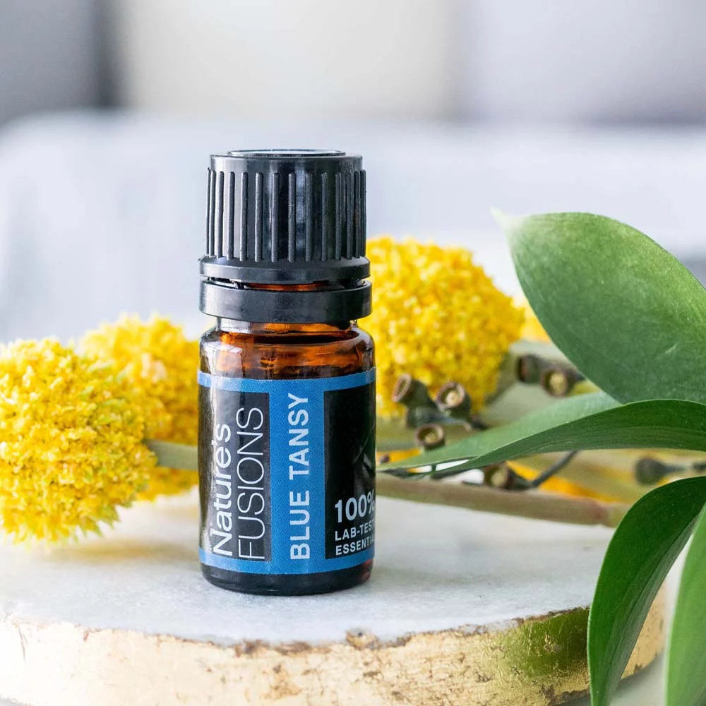 Blue tansy essential oil