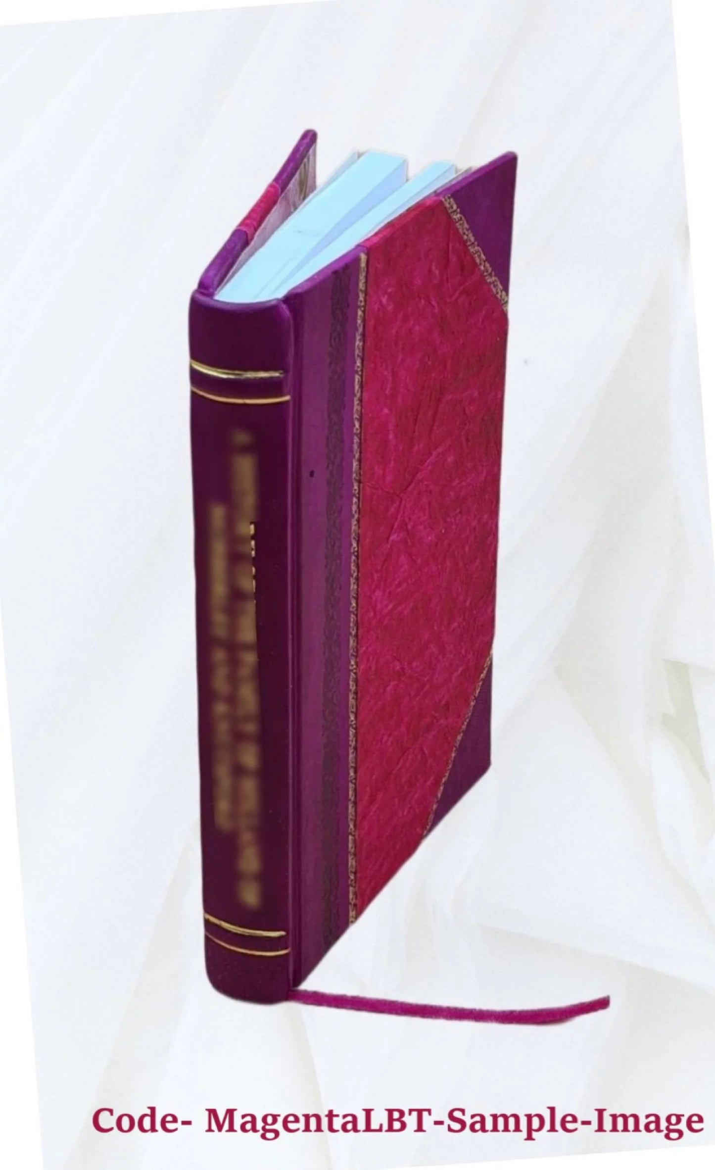 Compendio delle memorie istoriche delle arti e degli artisti della marca d'ancona / del signor marchese amico ricci. 1835 [leather bound]