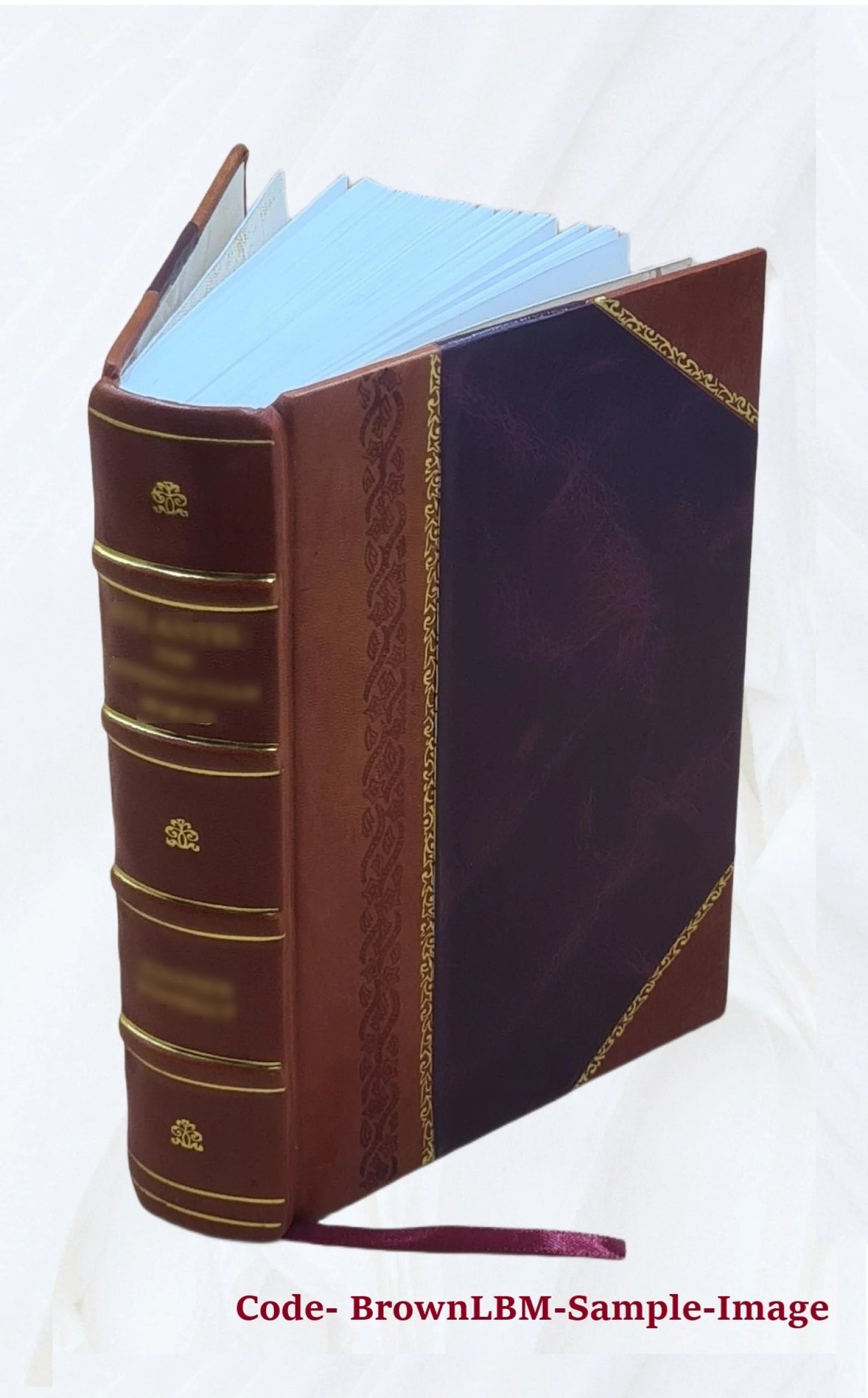 South wales, historical, biographical and pictorial 2022 [leather bound]