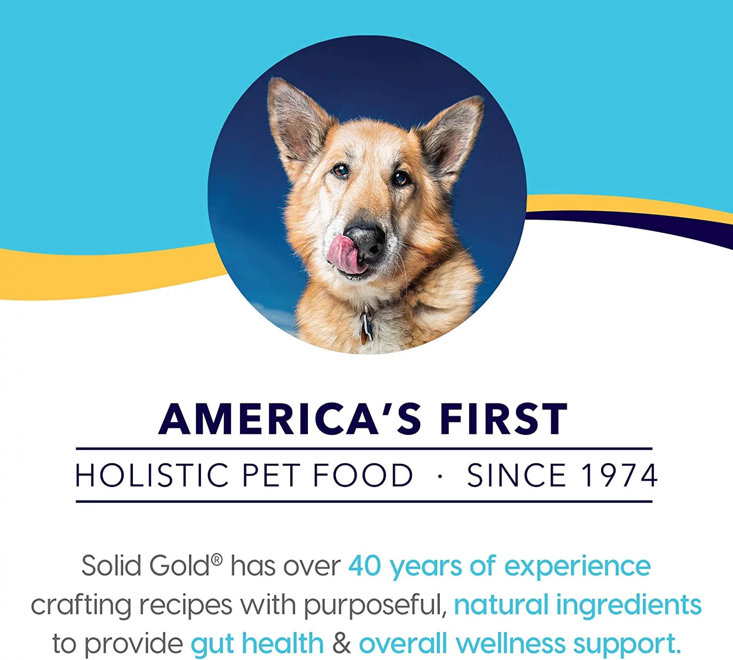 Solid gold wet puppy food - made with real natural chicken for puppies - love at first bark grain free canned dog food for gut health, immune support and soft skin & coat